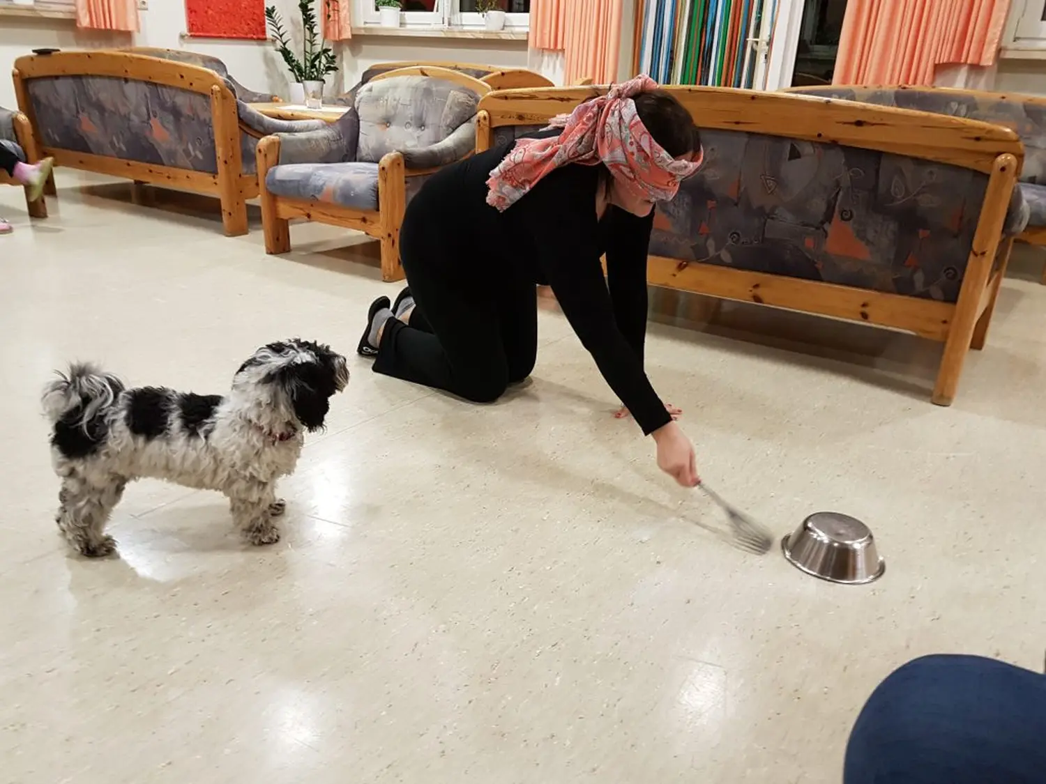 Hundeschule Schwelm