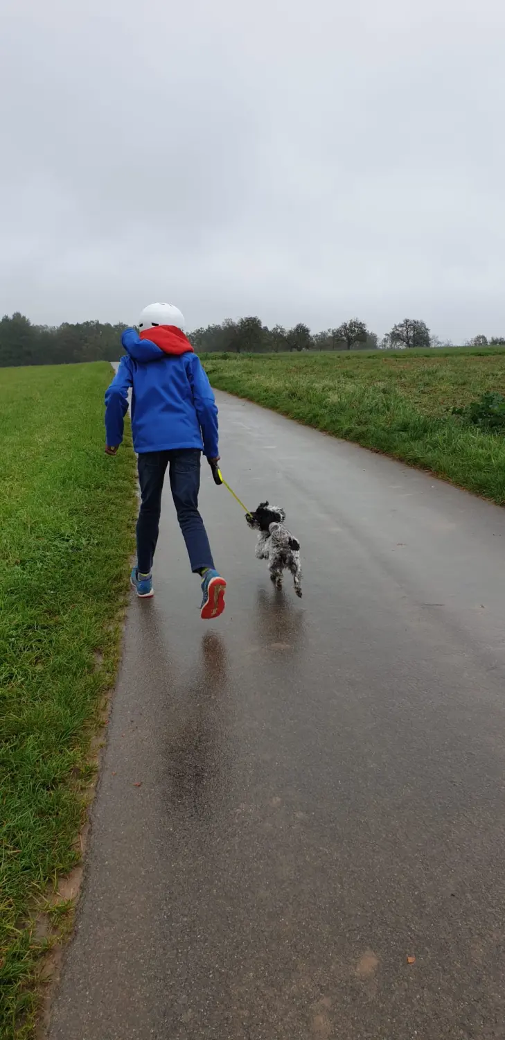 Hundetrainer NRW