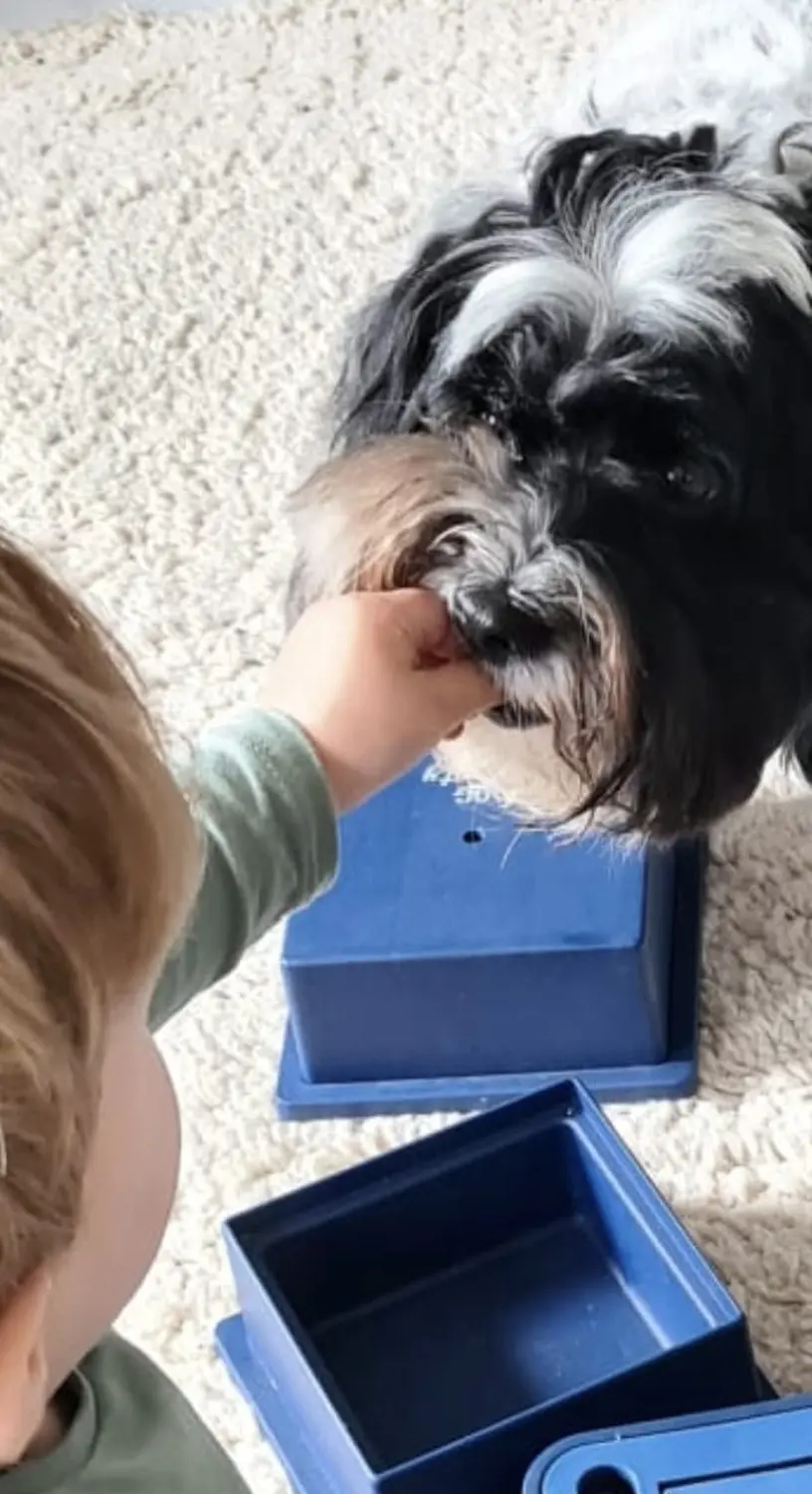Hundeschule Schwelm
