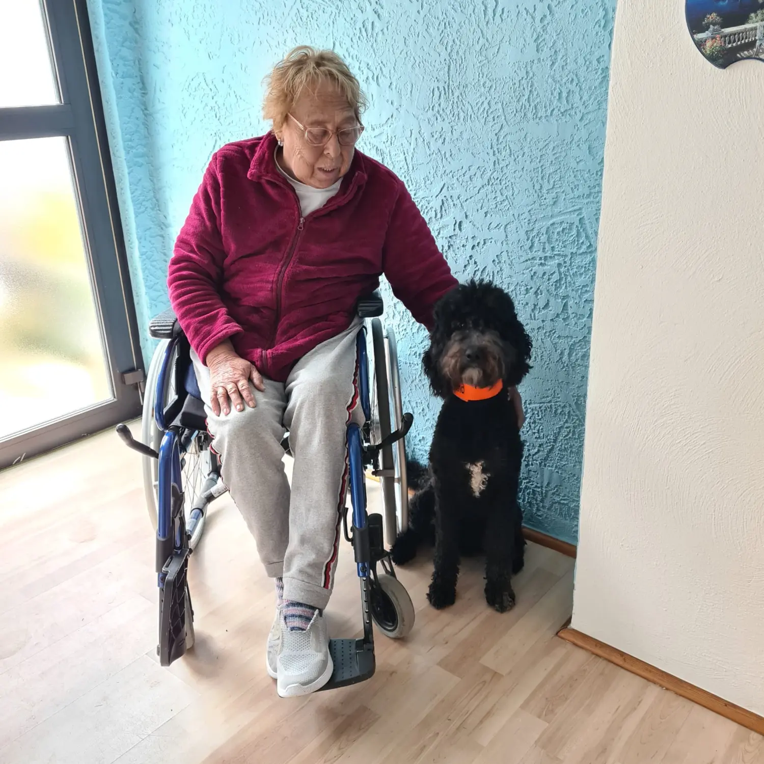 Hundeschule Schwelm