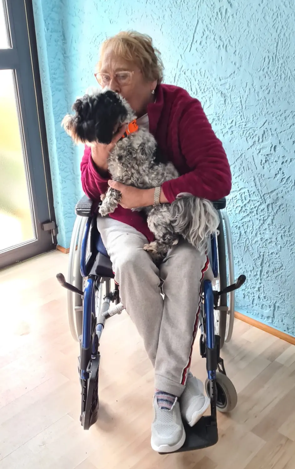 Hundeschule Schwelm
