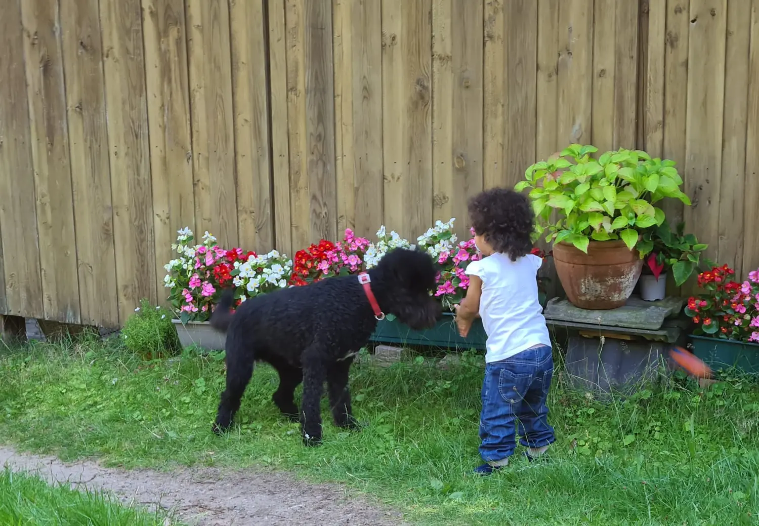 Hundeschule Schwelm