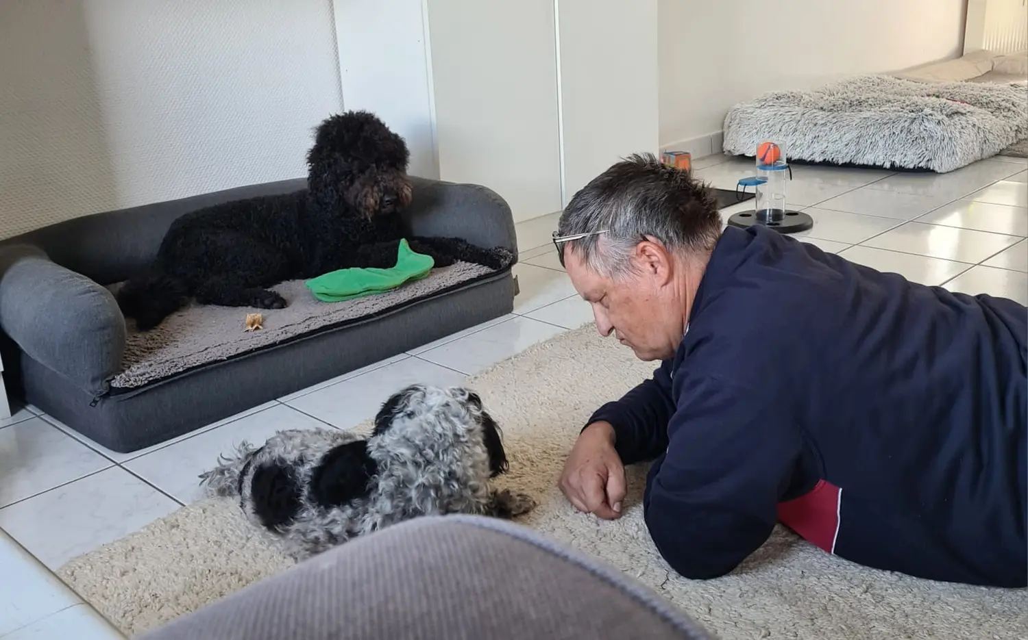 Hundeschule Schwelm