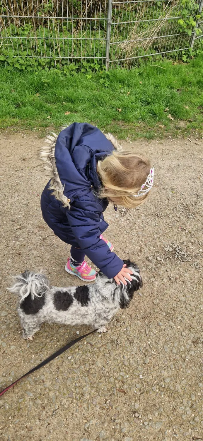 Hundetrainer Schwelm