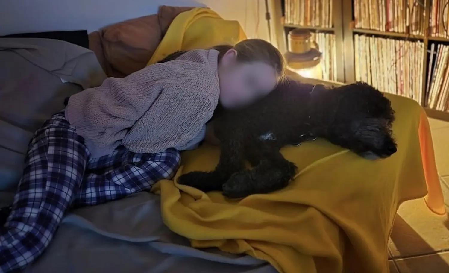 Hundeschule Schwelm