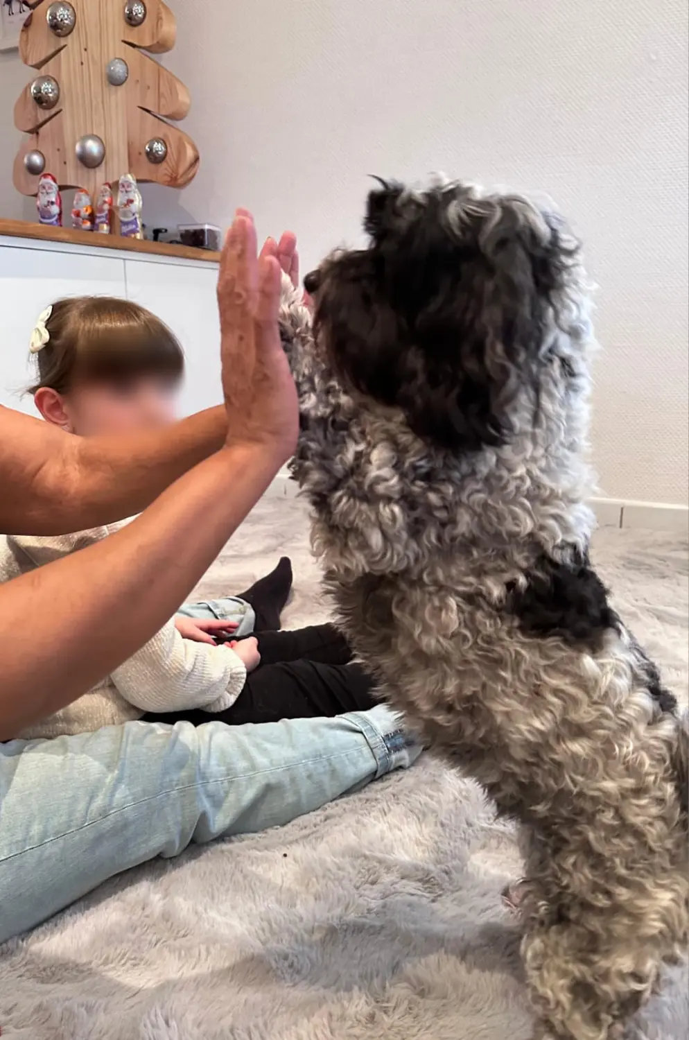 Hundetrainer NRW