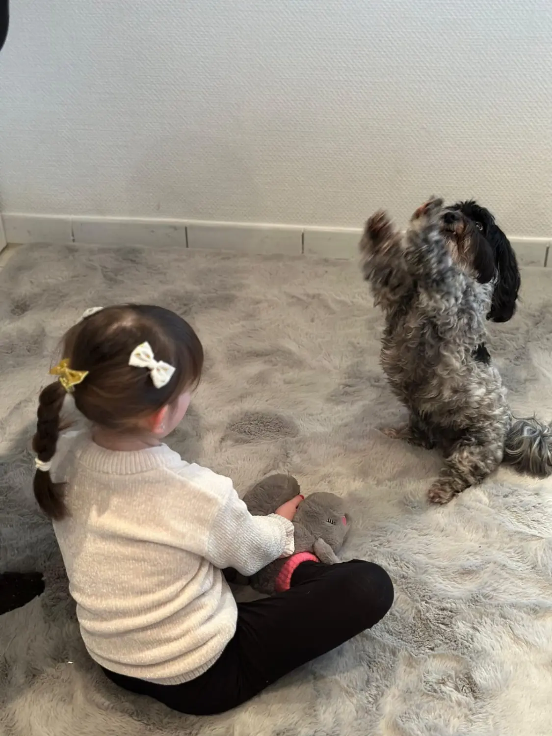 Hundeschule Schwelm