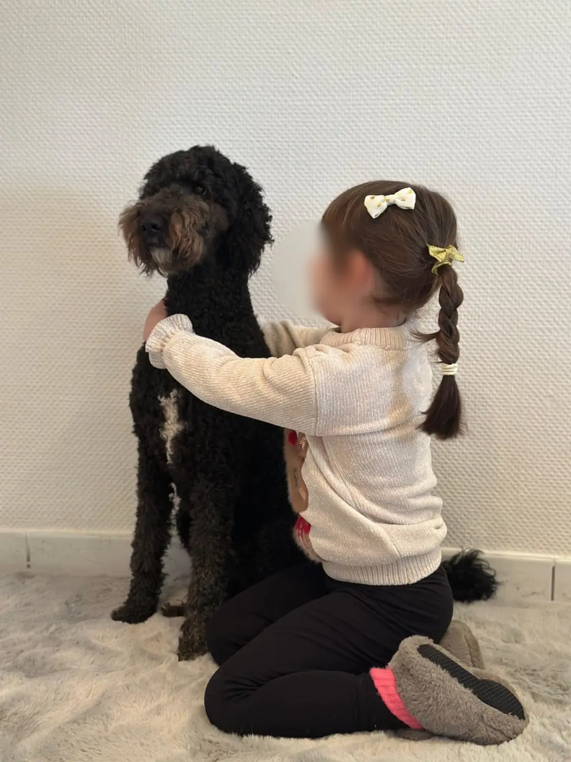 Hundeschule Ennepetal 