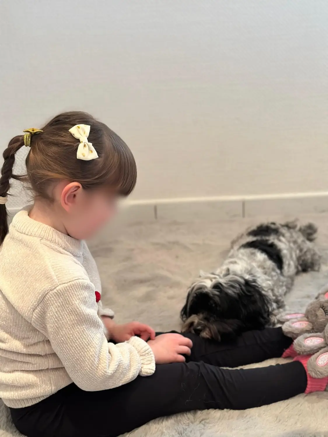 Hund mit Kind von Therapiehundeteam