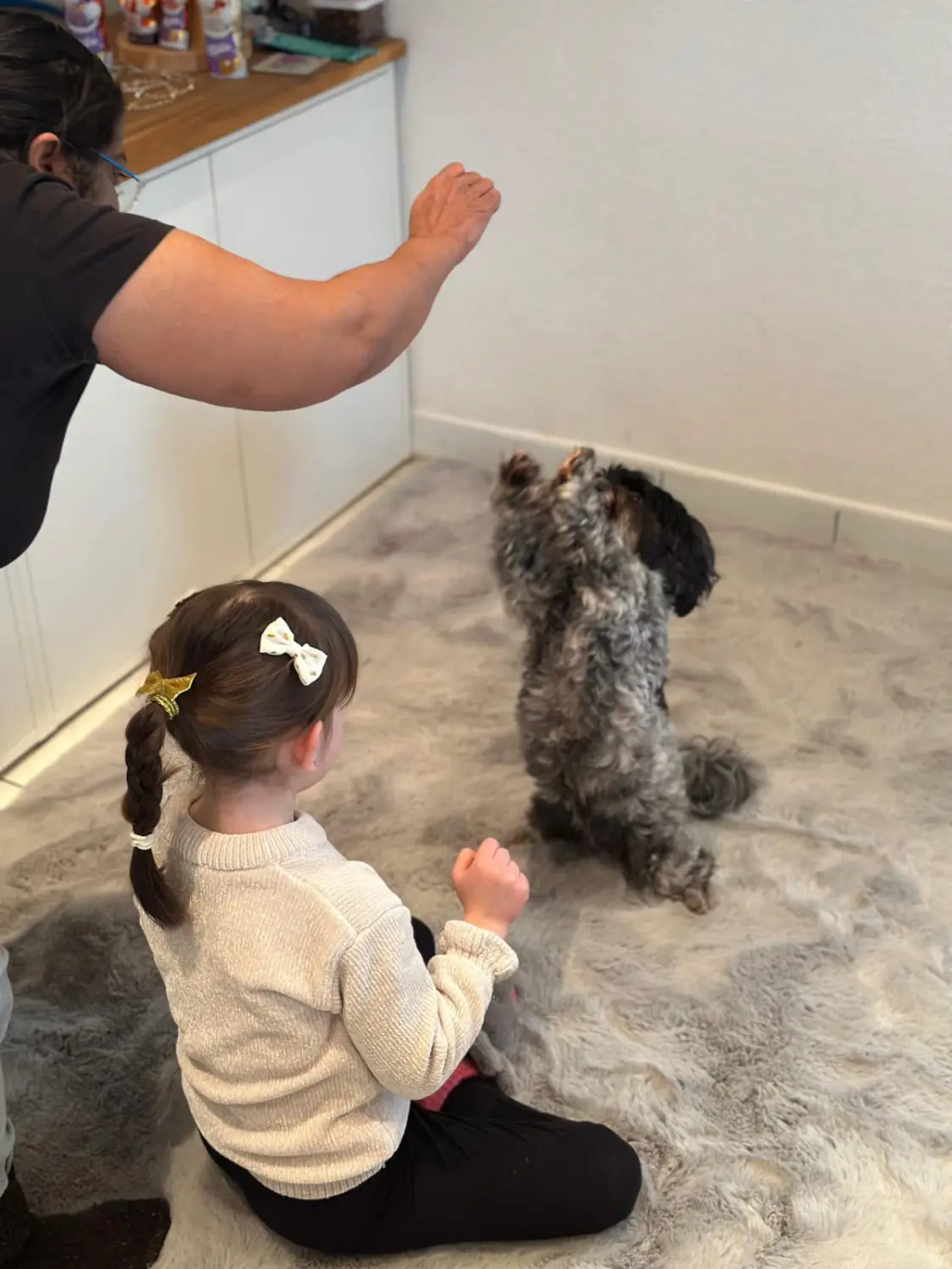 Hundeschule Schwelm