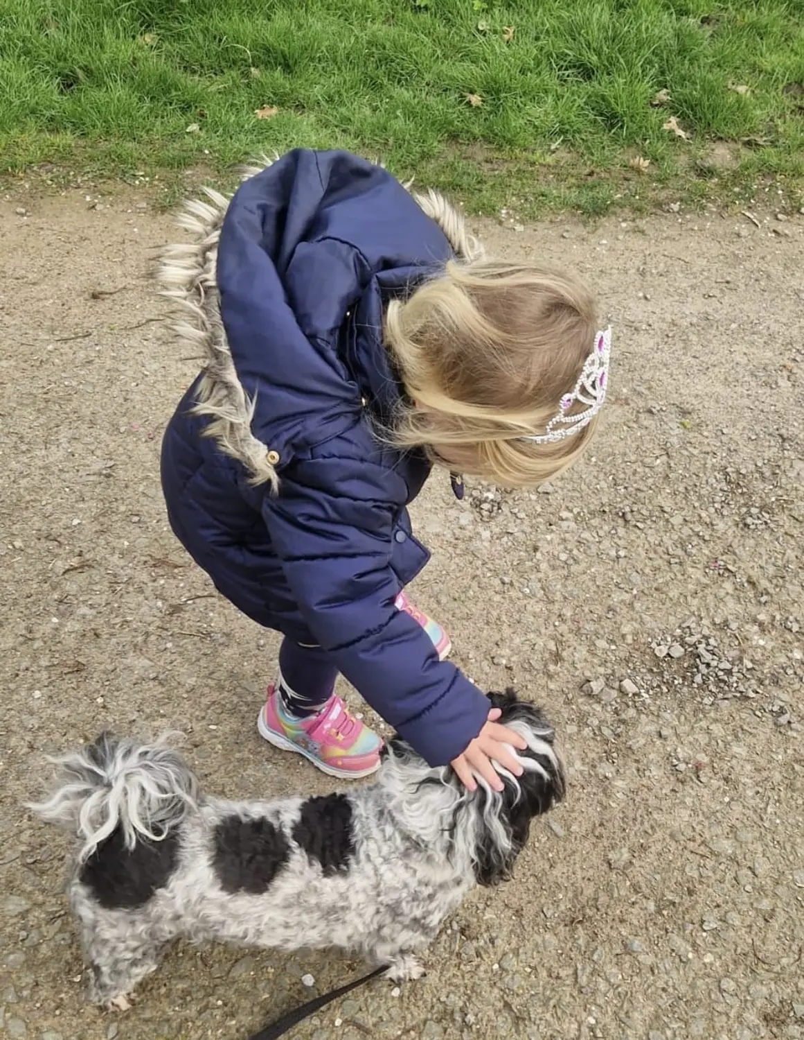Hund mit Kind von Therapiehundeteam