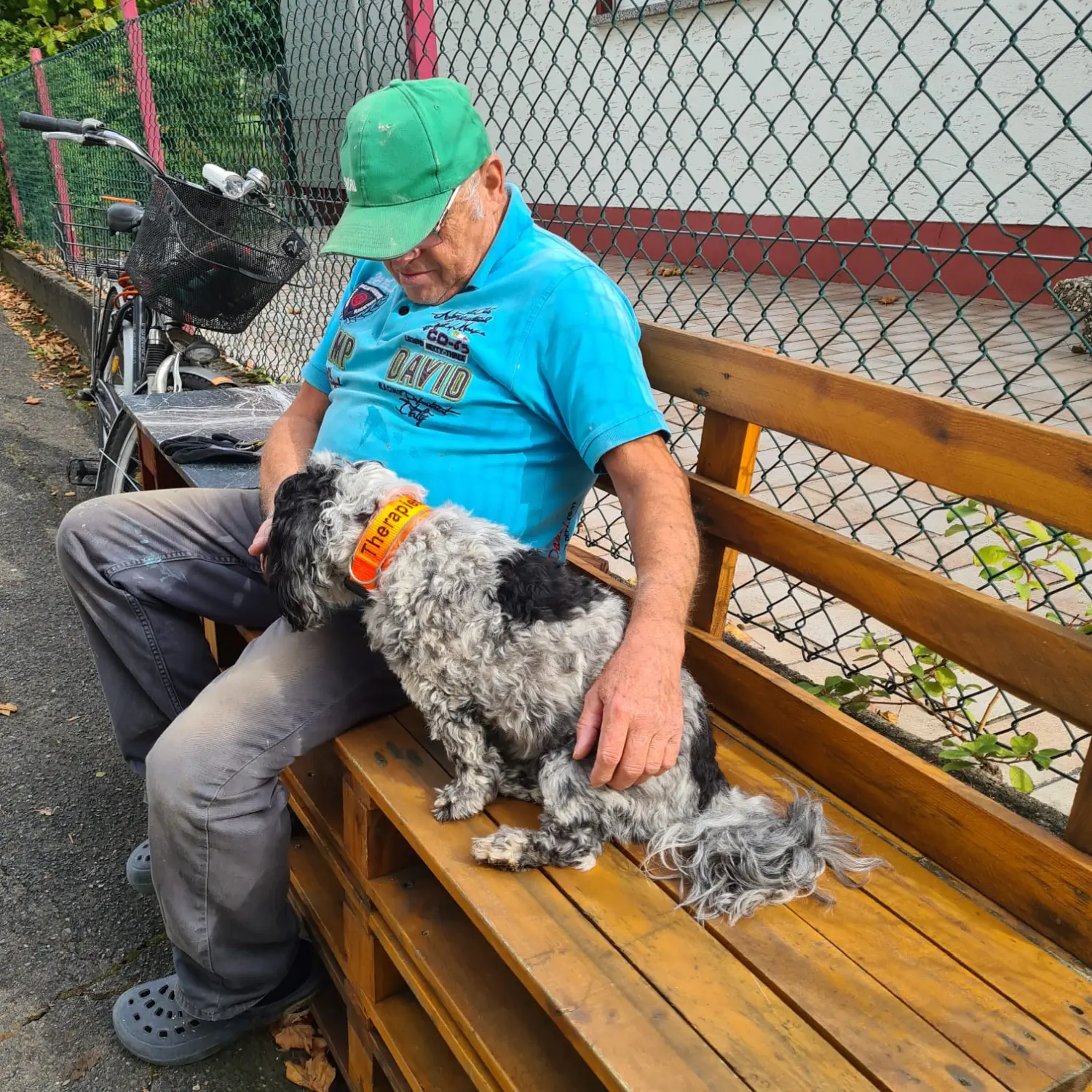 Hundetrainer NRW