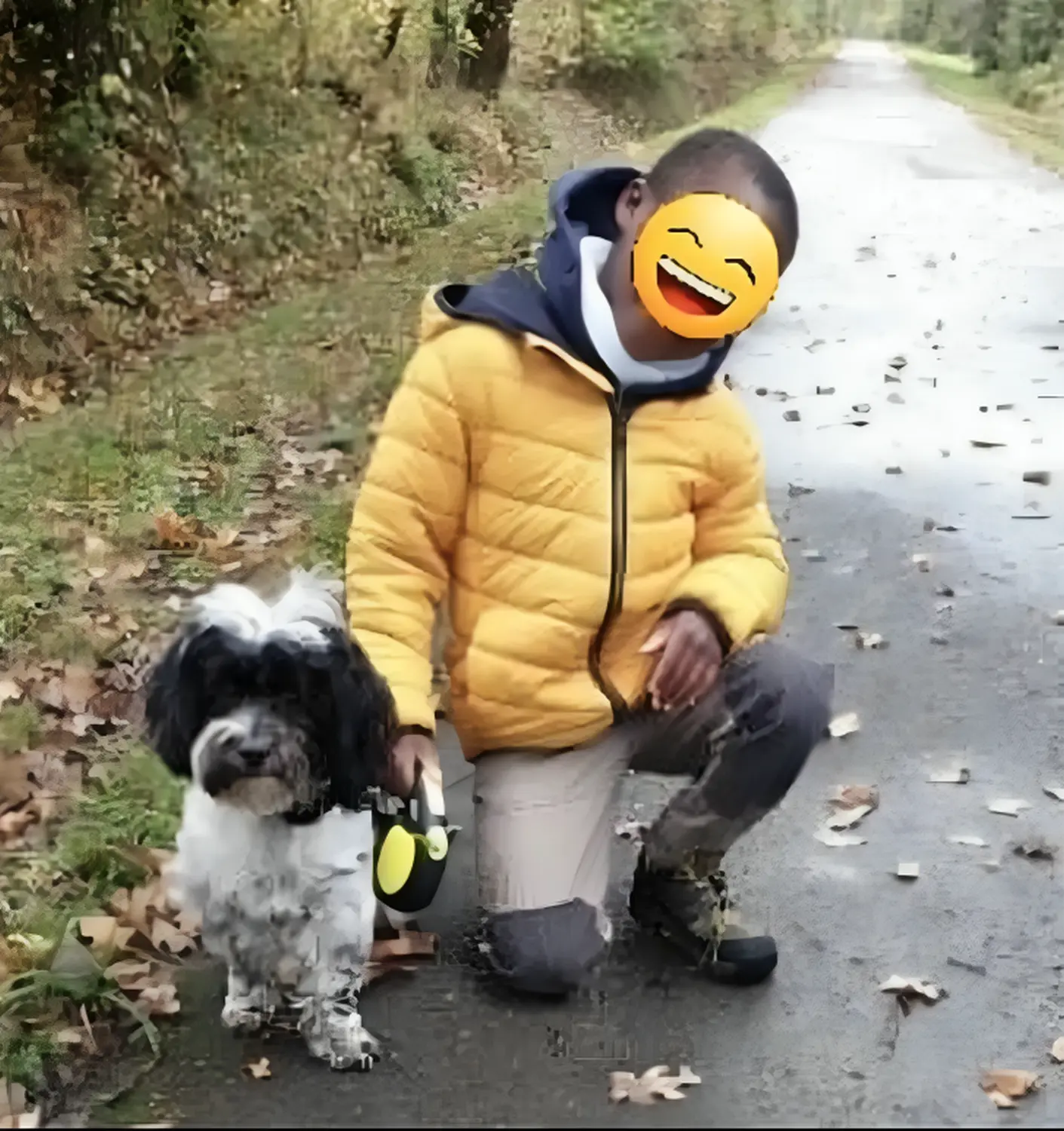 Hundetrainer NRW
