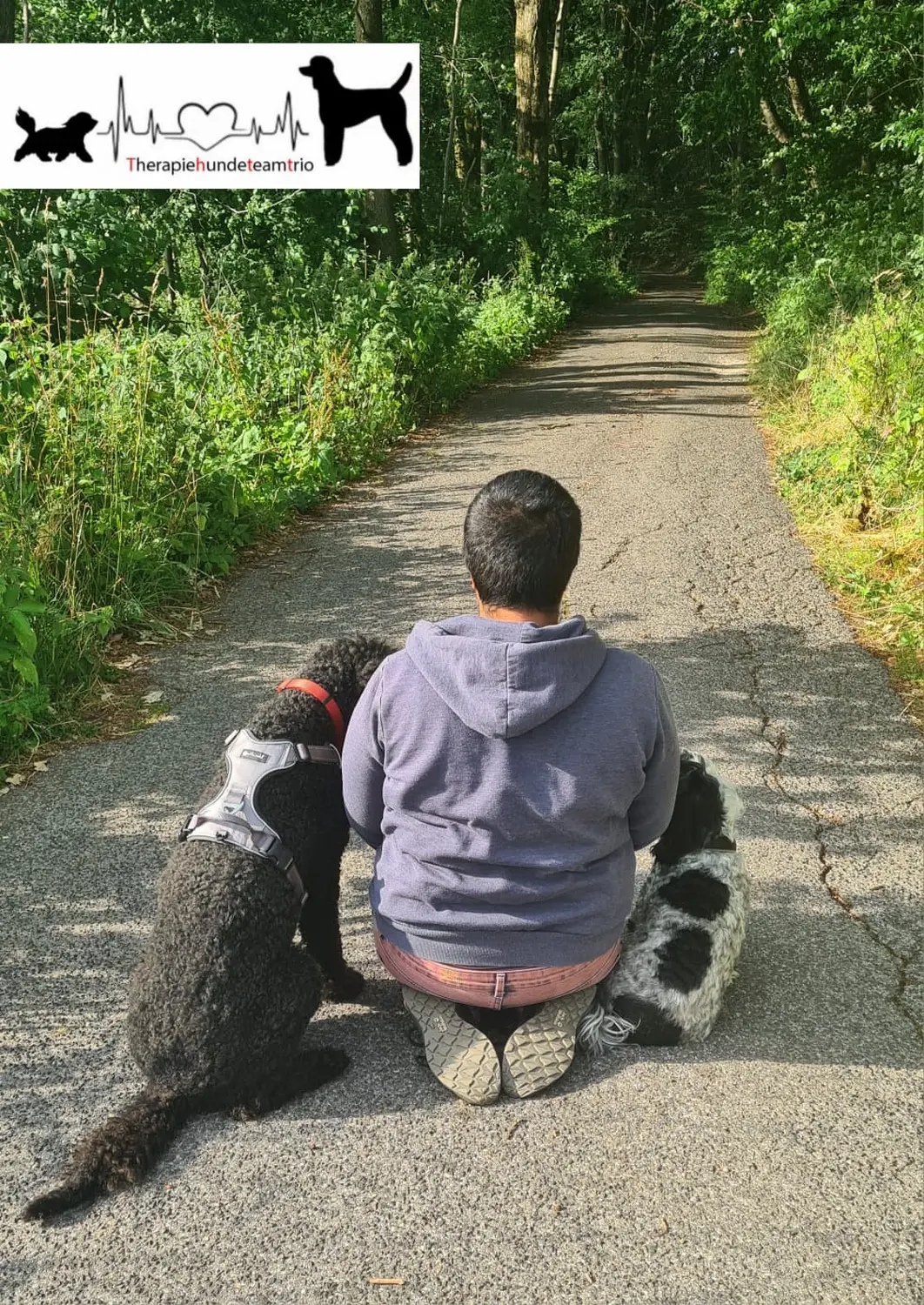 Hundetrainer NRW