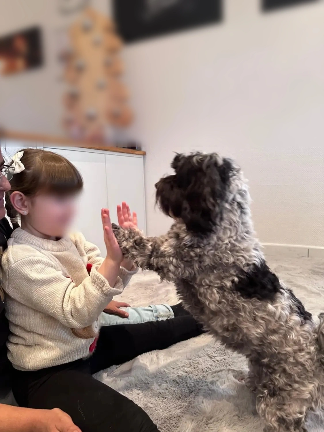 Hund und Kind