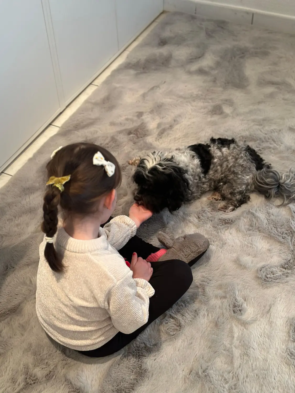 Hundeschule Schwelm