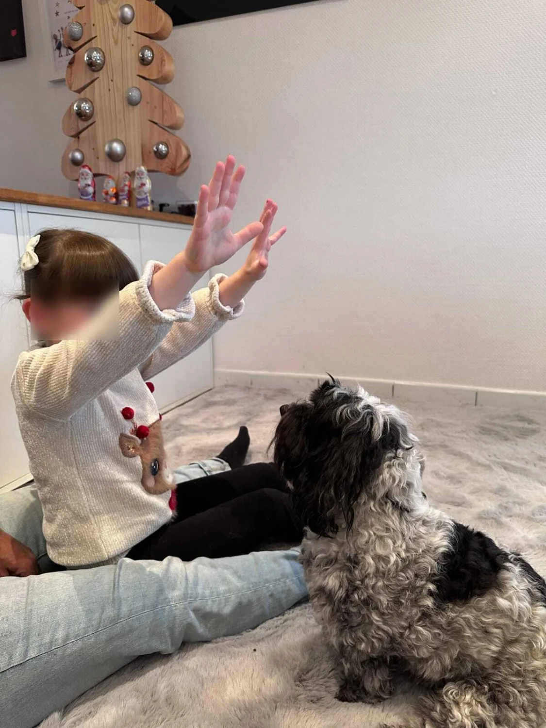 Hundetrainer Ennepetal 